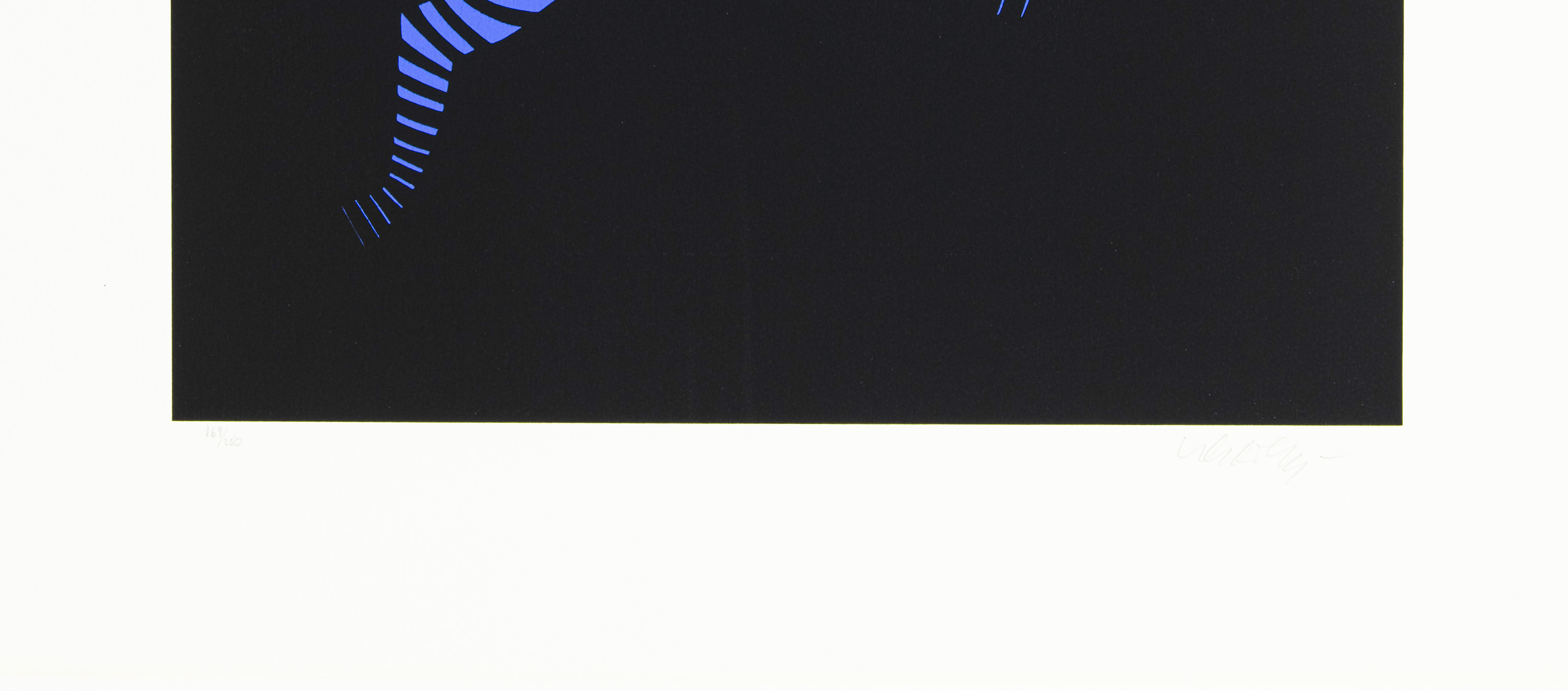 Zebra - 3