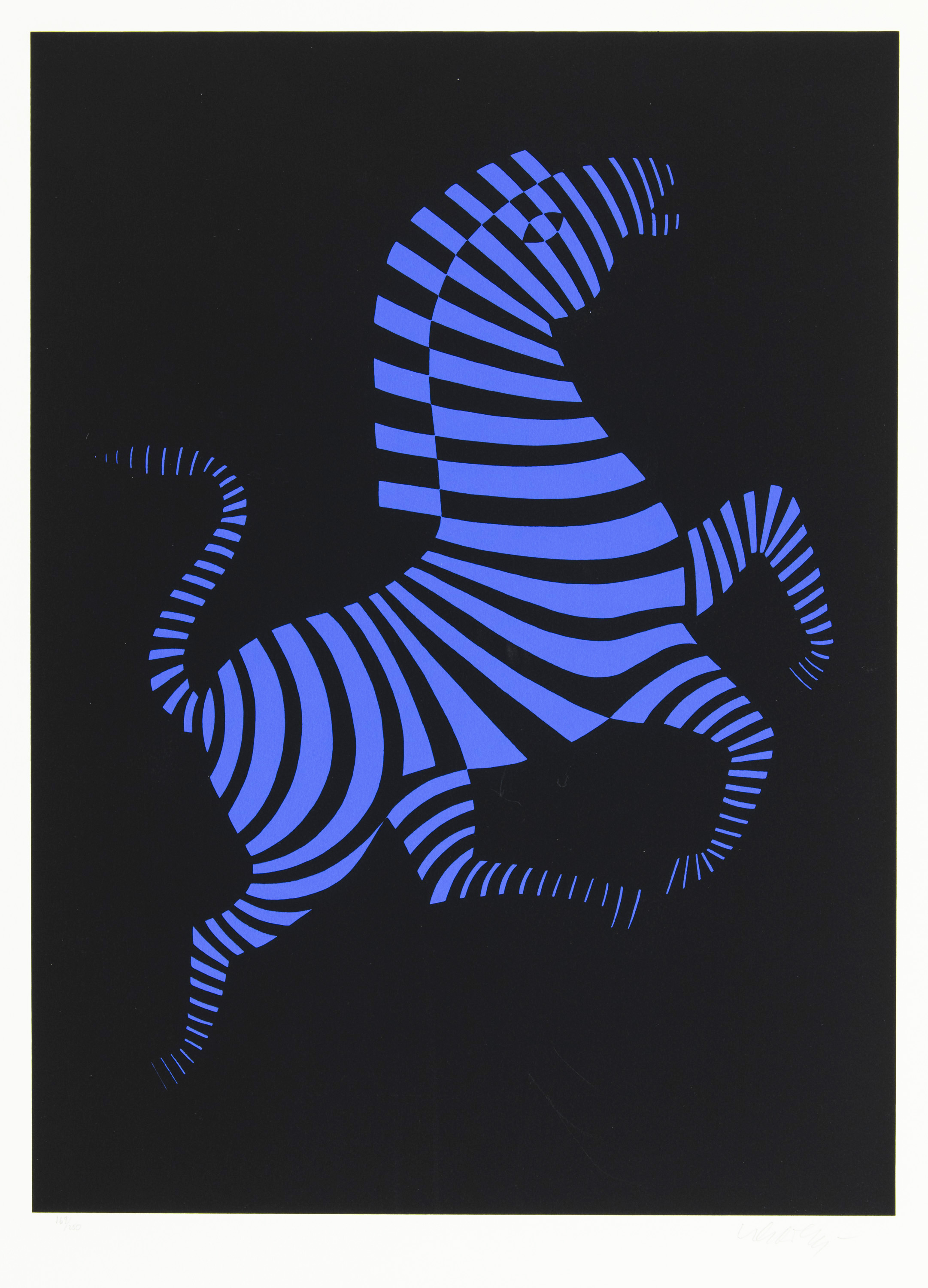 Zebra - 2