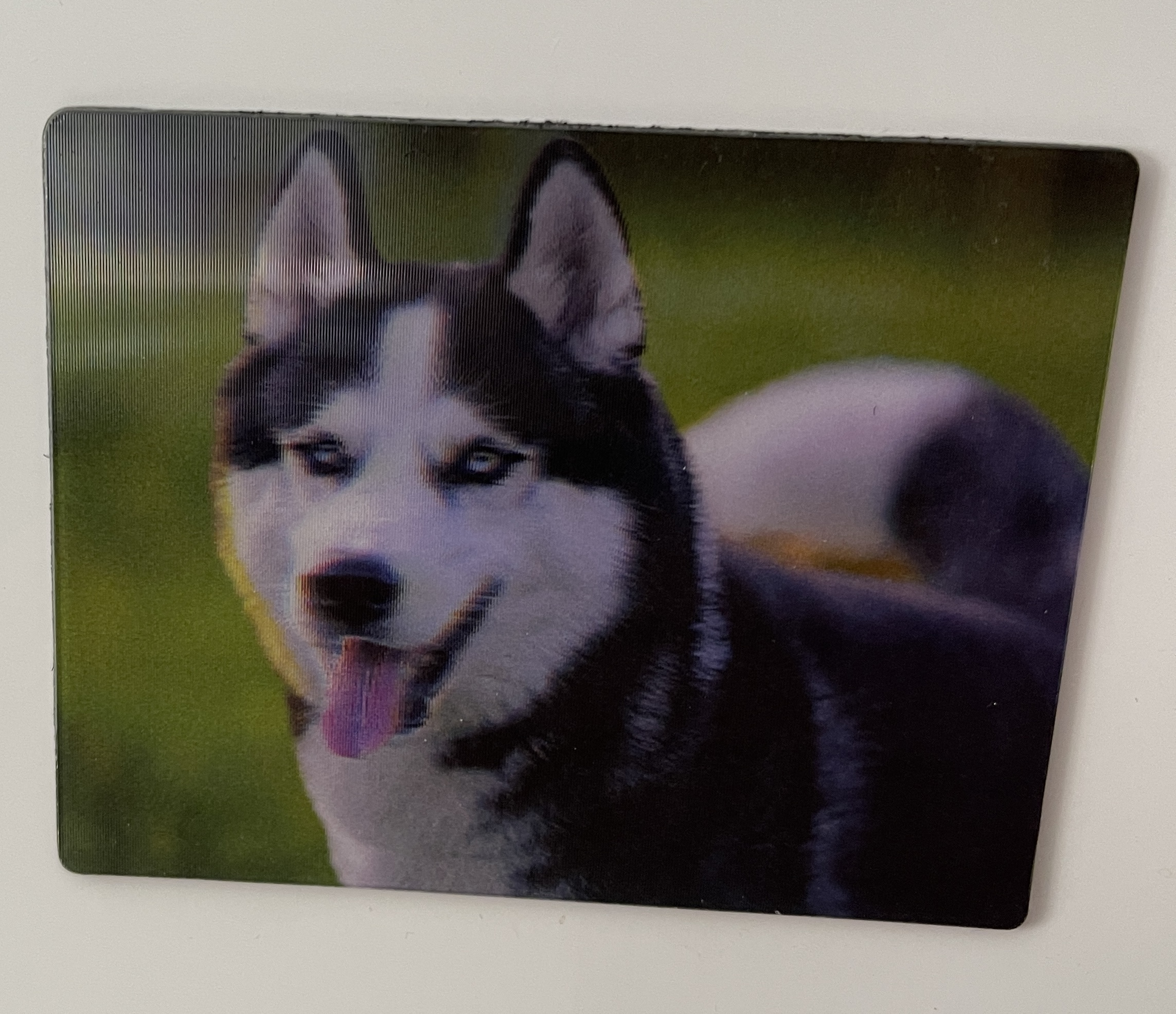 Magnet, Husky