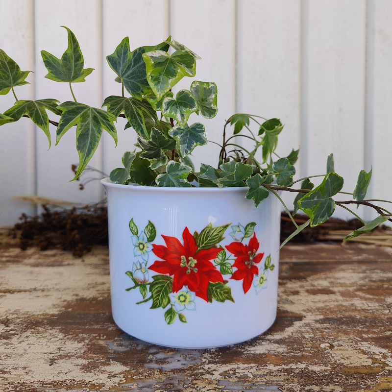 Julstjärna ytterfoder från Zsolnay