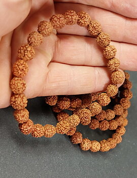 Rudrakshafrön Armband, 8mm Pärlor