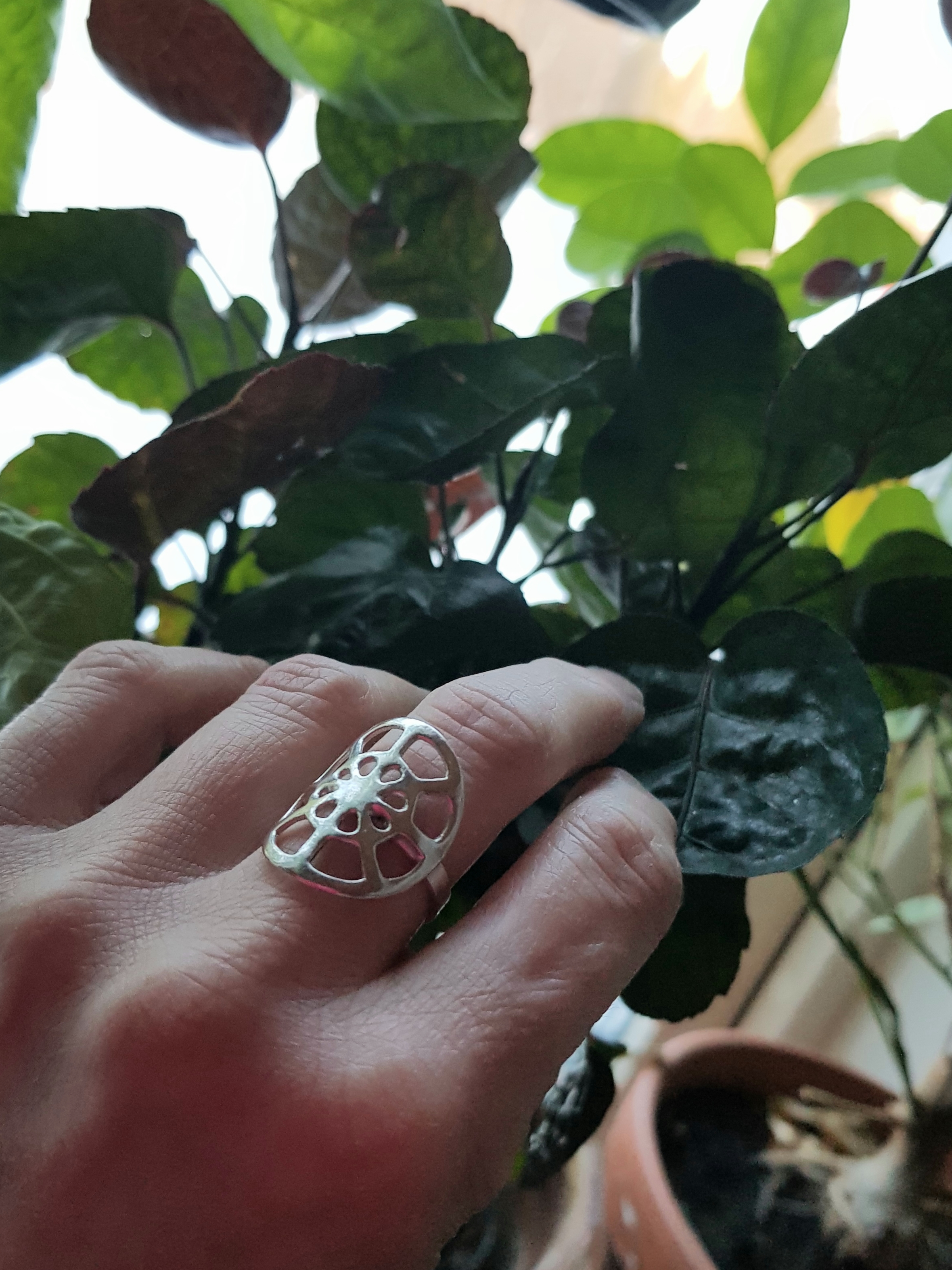 Midnattssol - ring - 2