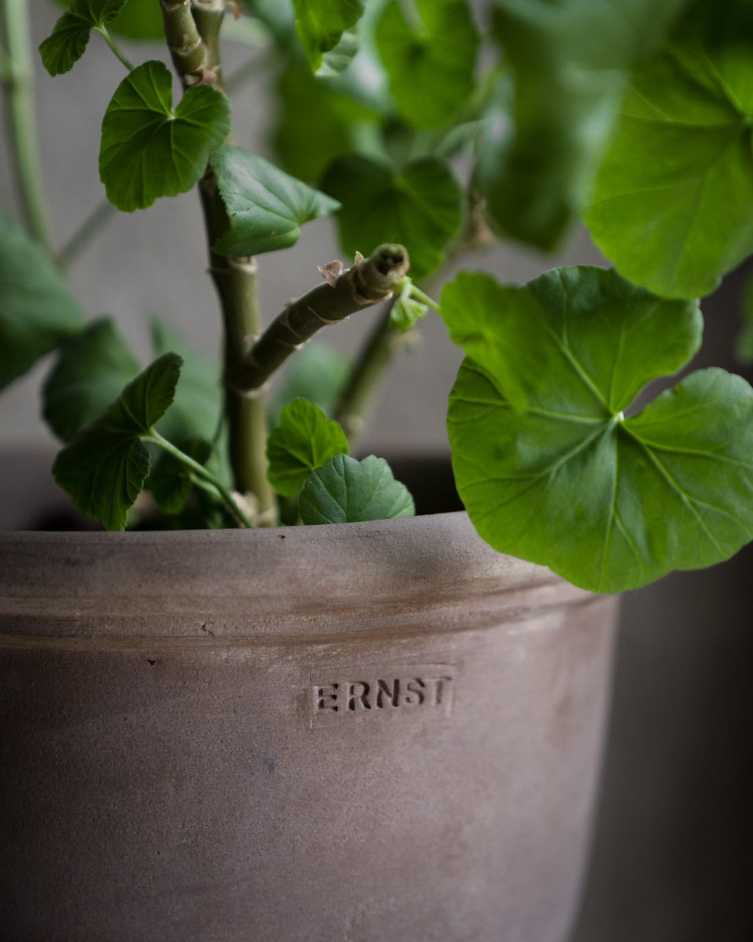 Ernst Pots - Brown Terracotta - 2-pack - 3