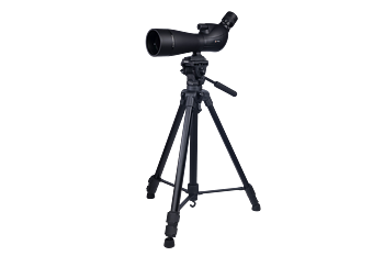 20 60 80 NSO Djupadal + Manfrotto 290