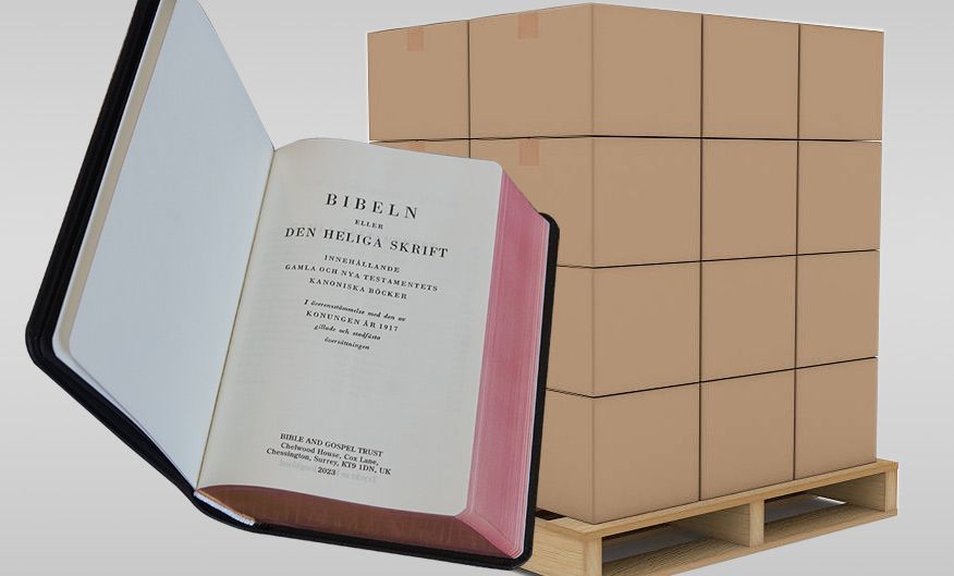 SVENSKA BIBLAR 720ST
