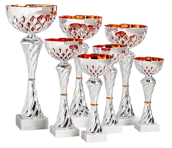 Pokal Alicante