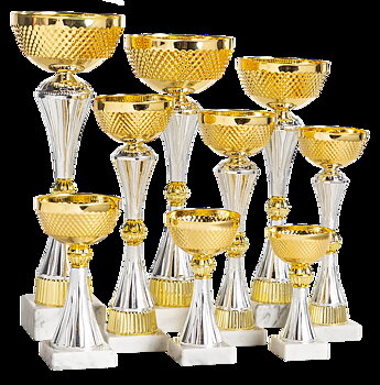 Pokal Ålesund