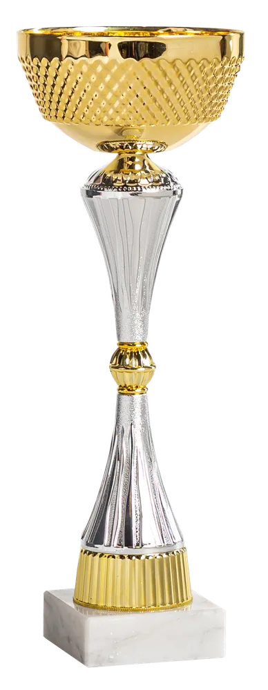 Pokal Ålesund - 2