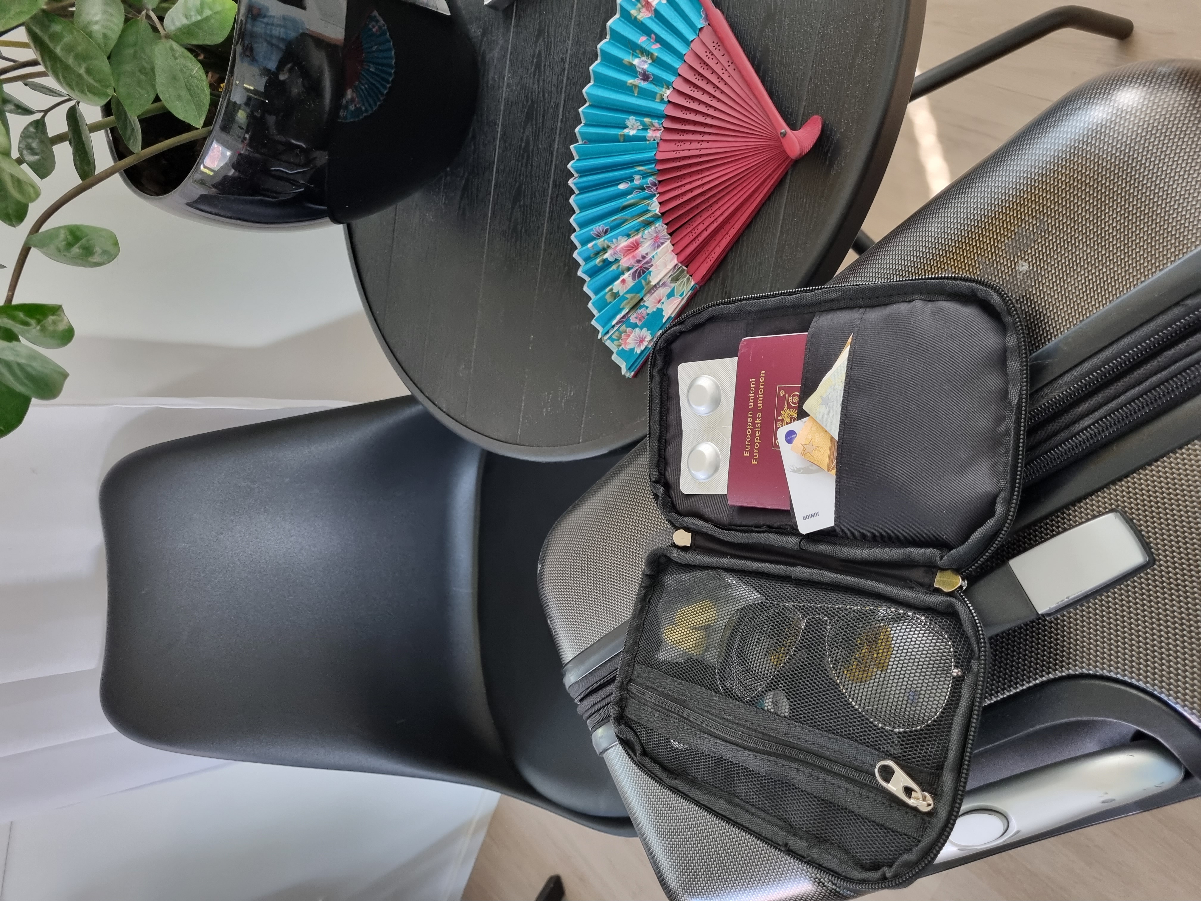 Mumin Travel Pouch - 3