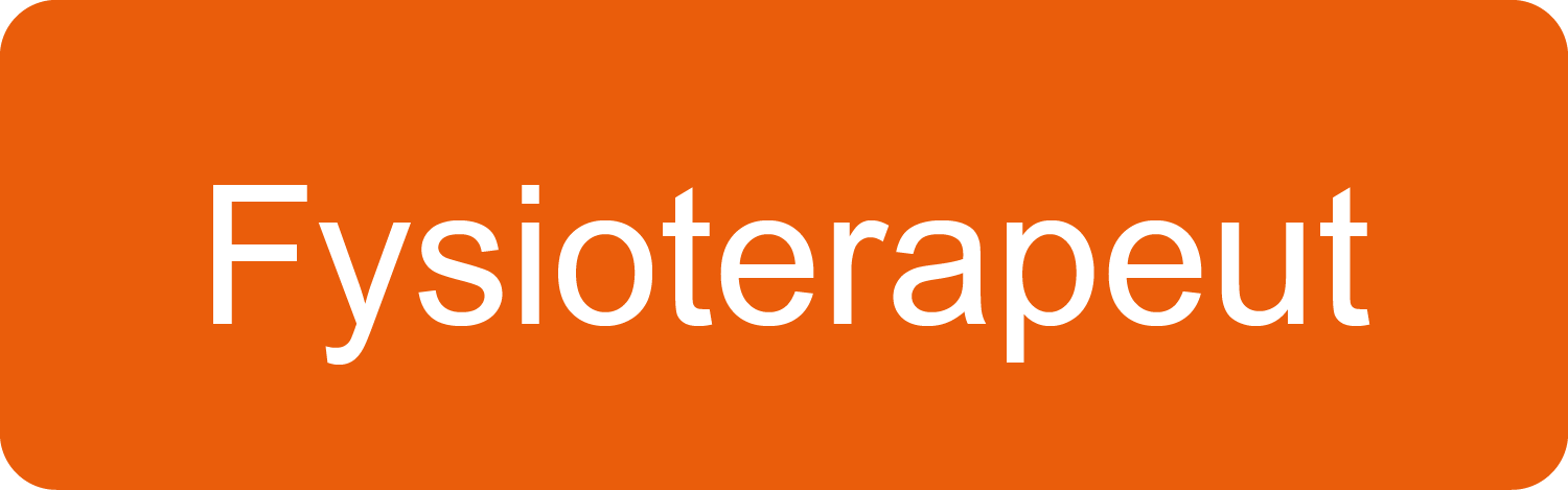 Fysioterapeut