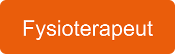 Fysioterapeut