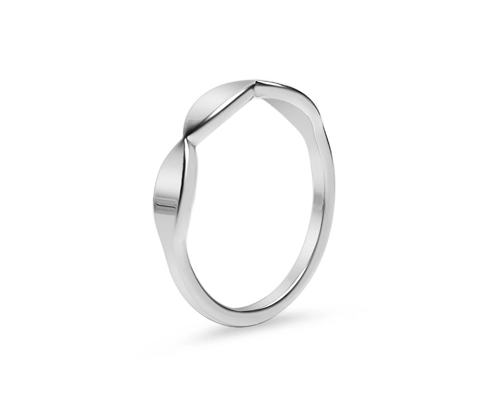 Blank ring i 316 stål - 2 (4) mm bred - 3