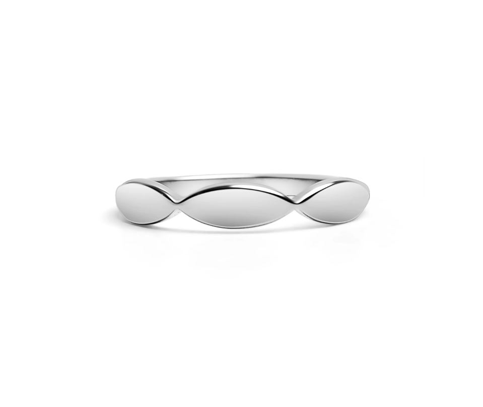 Blank ring i 316 stål - 2 (4) mm bred - 2