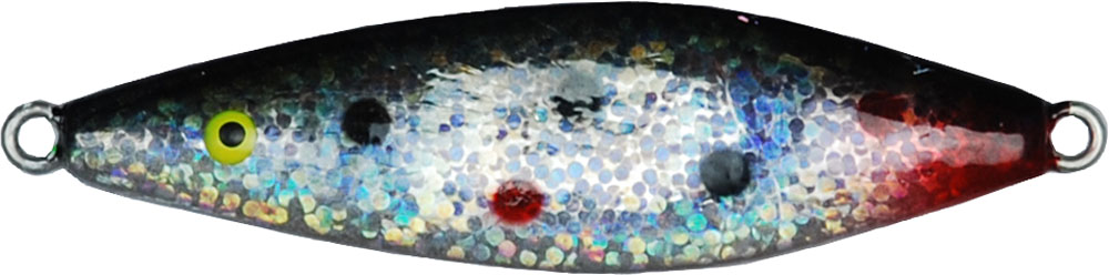 the cold sea lure is a spoon lure is a popular lure for rainbow trout and other planted fish. casting cannon! black silver