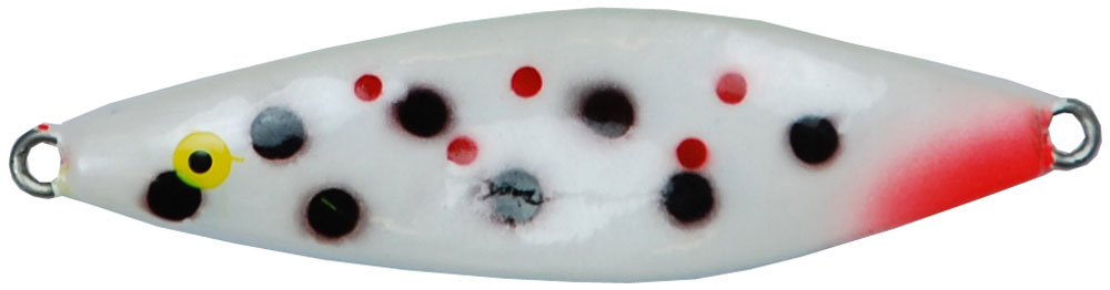 the cold sea lure is a spoon lure is a popular lure for rainbow trout and other planted fish. casting cannon! white with dots