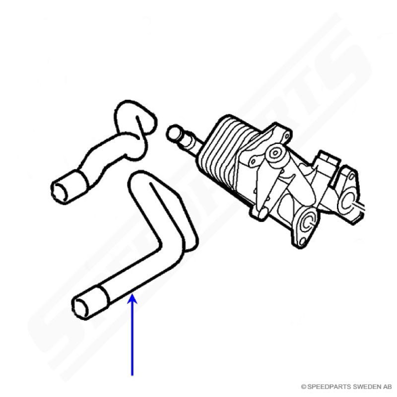 Coolant hose oil cooler B207 - 2