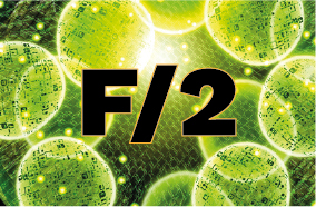 F/2 Näring för Phytoplankton odling