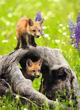 Curious Foxes 300 Bitar XXL Ravensburger