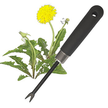 Maskrosjärn - Tar bekvämt bort hela maskrosen även med rötterna. 
