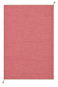 Röllakan Sofiero Rosa