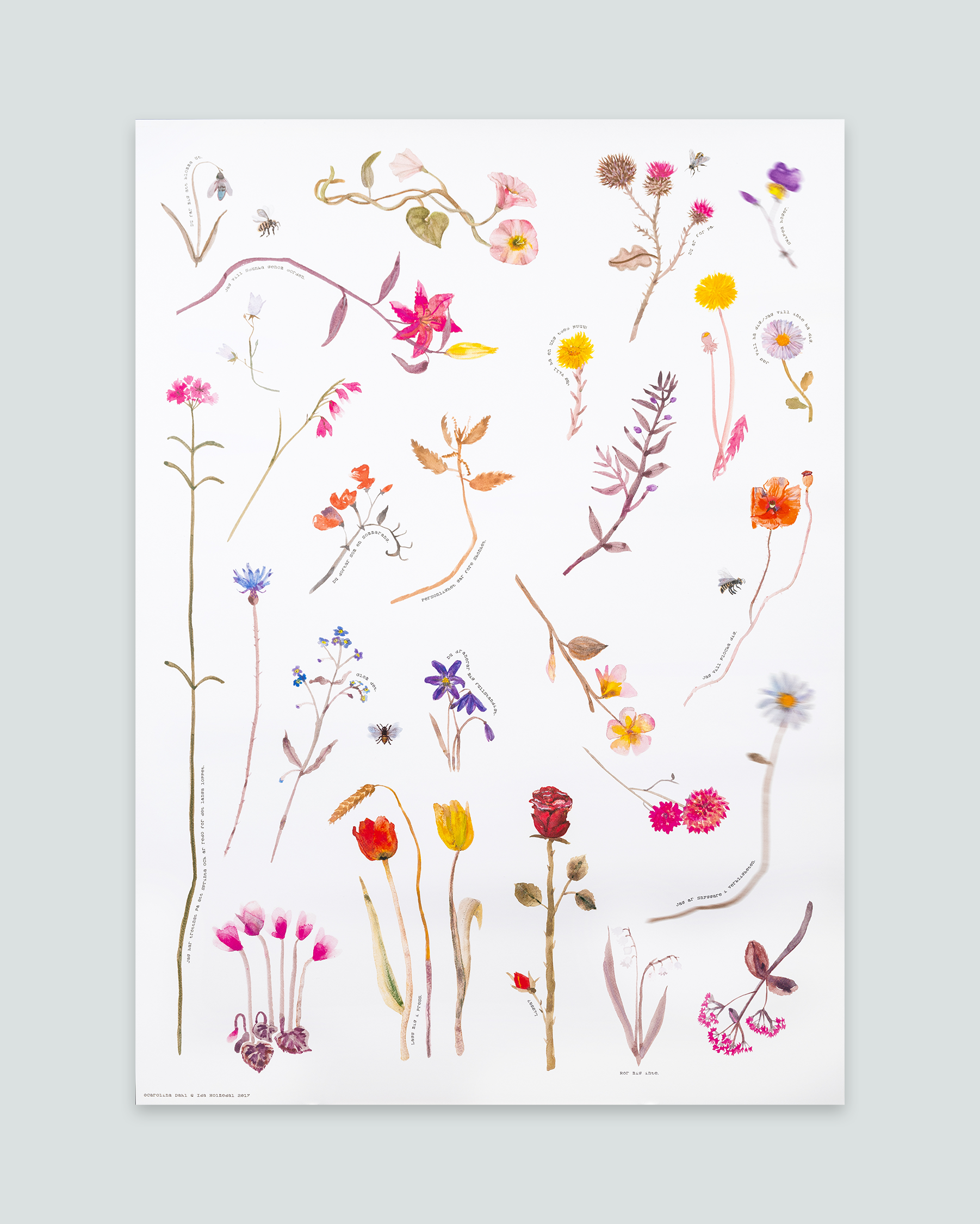 Affisch, Blomster, Ida Holmedal och Carolina Dahl 
