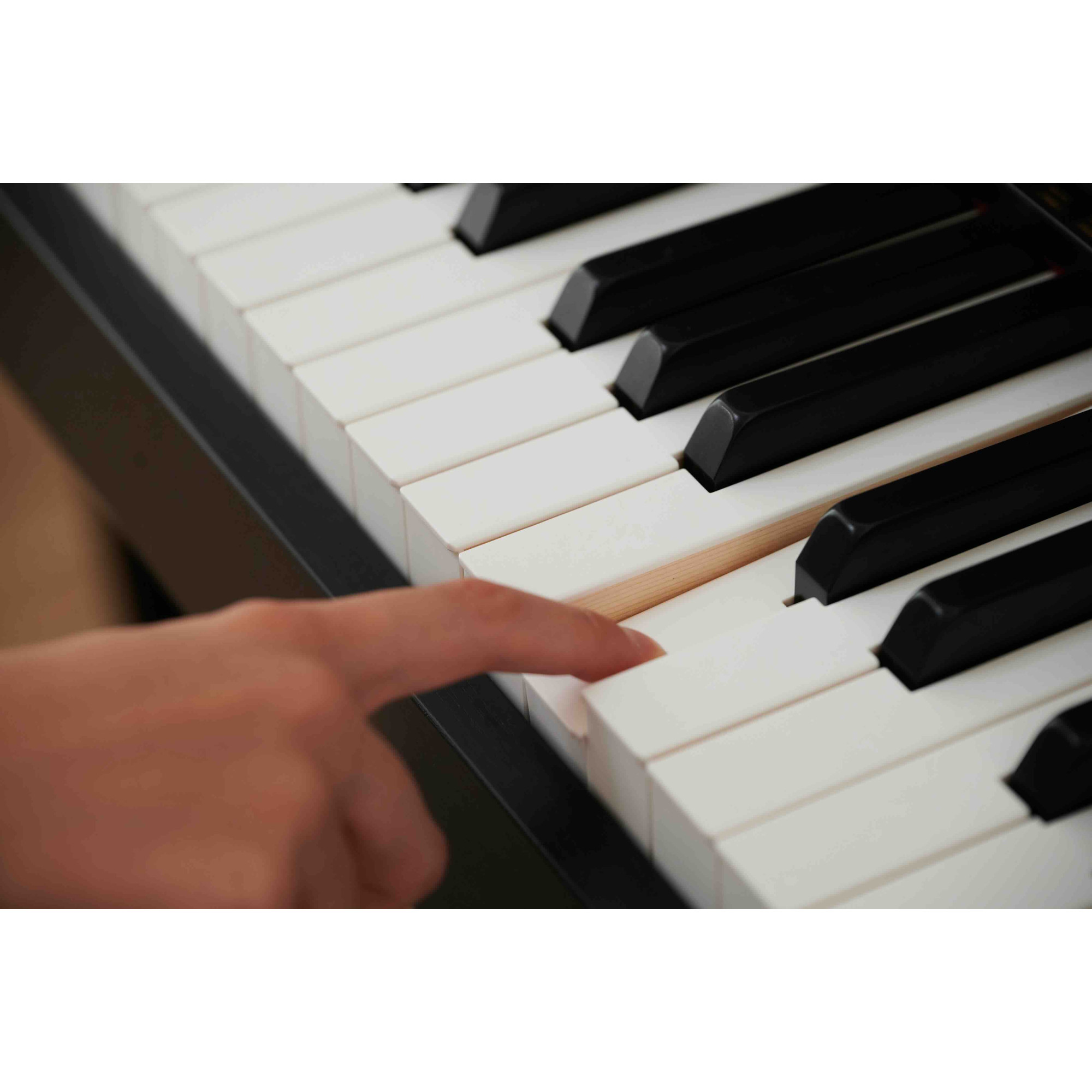 Casio AP-550 BK Smart Hybrid Celviano - 11