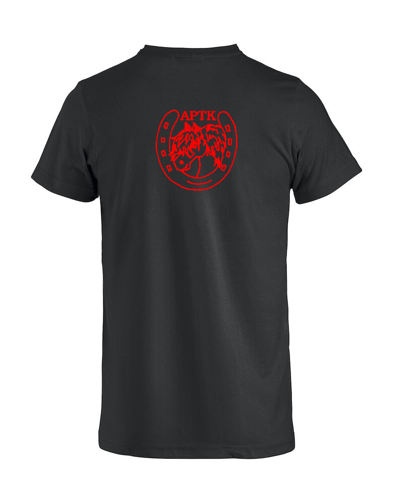 T-shirt (APTK) - 2