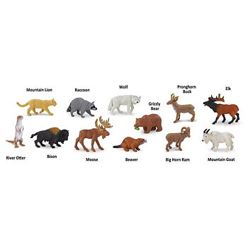 Nordamerika djur  - Safari 