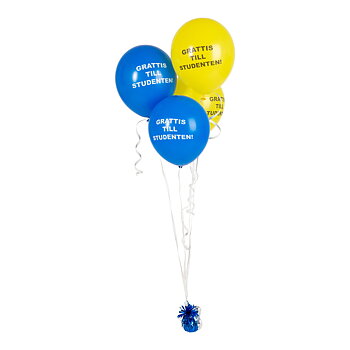 Ballonger Studenten Blå/Gul  8-P