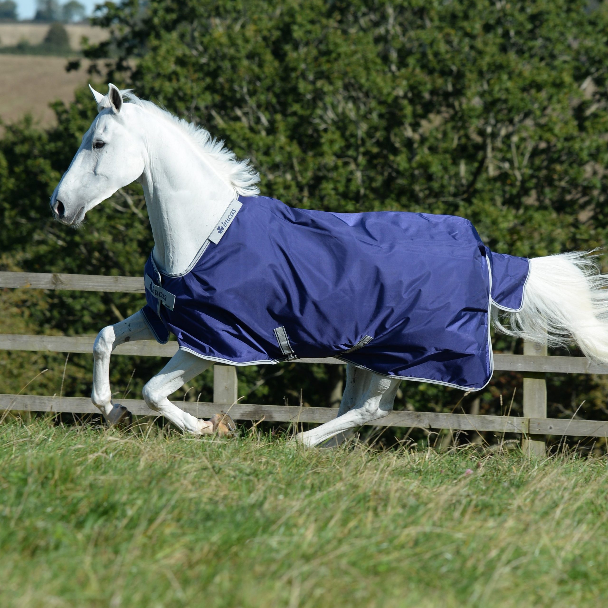 Bucas Atlantic Turnout 200 g - Navy/Silver