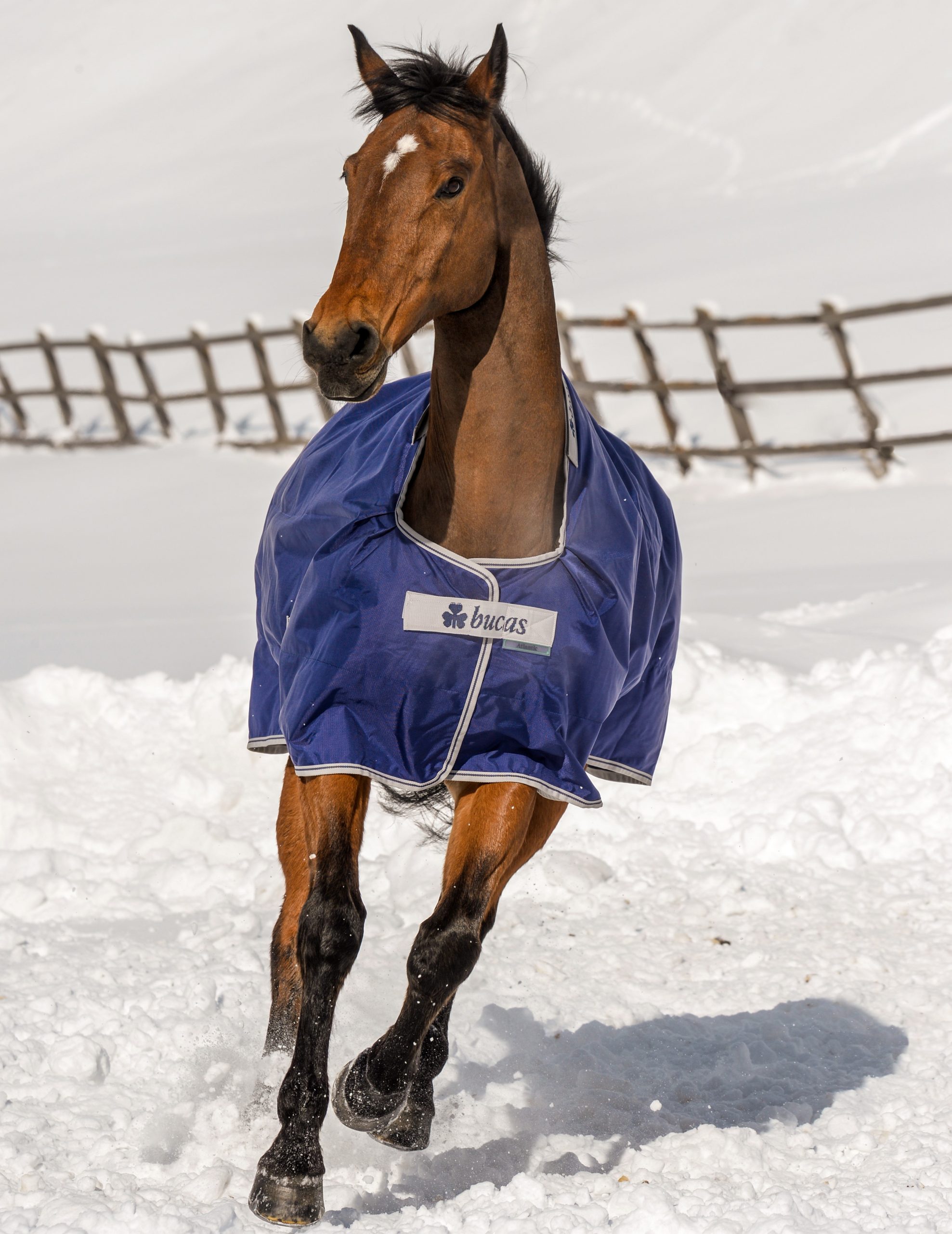 Bucas Atlantic Turnout 200 g - Navy/Silver