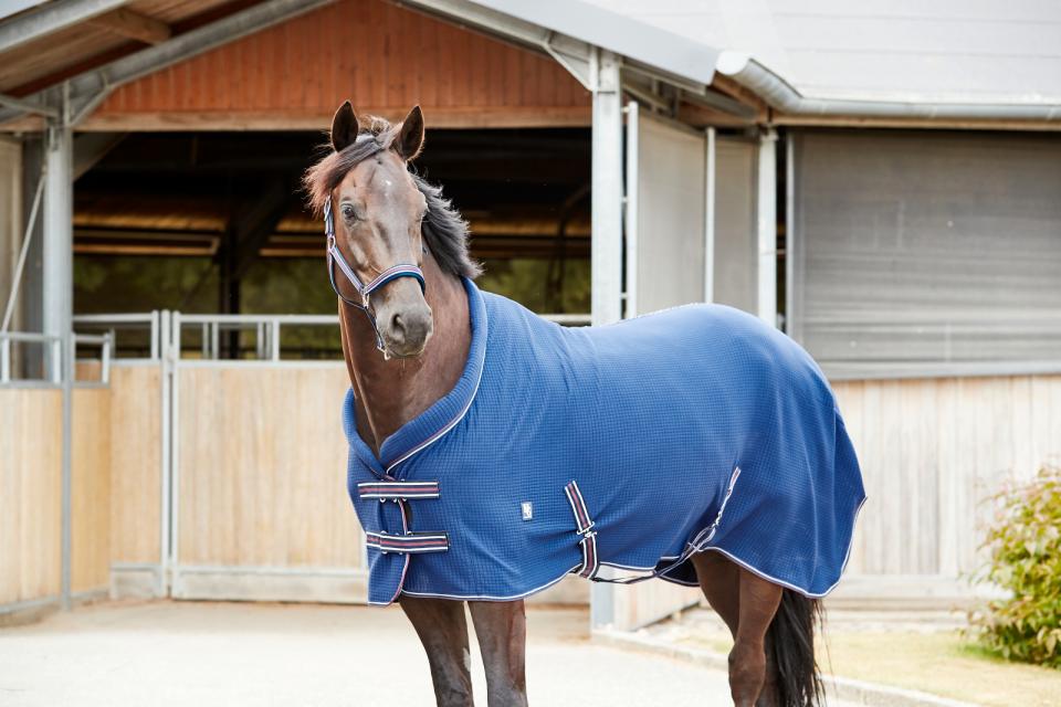 HorseGuard Kala Cooler dekken - 2