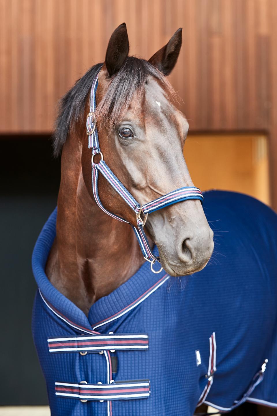 HorseGuard Kala Cooler dekken