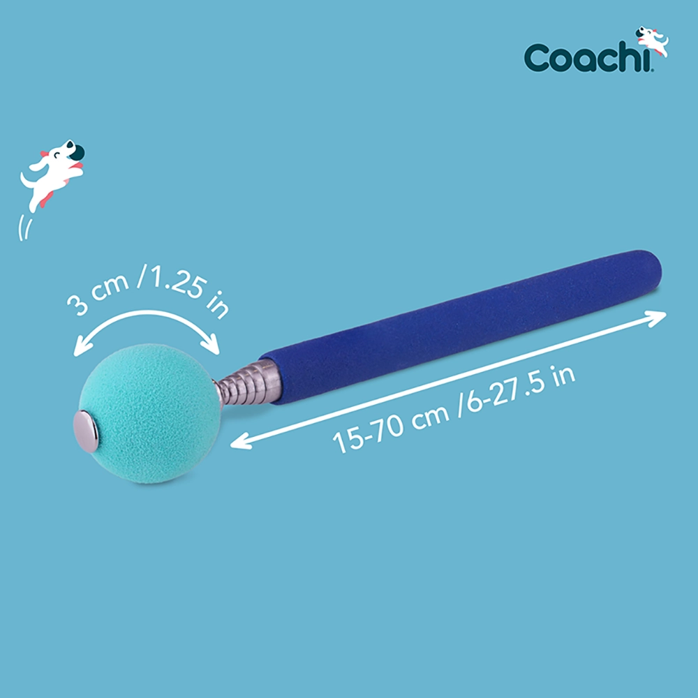 Target stick for dog training - 4