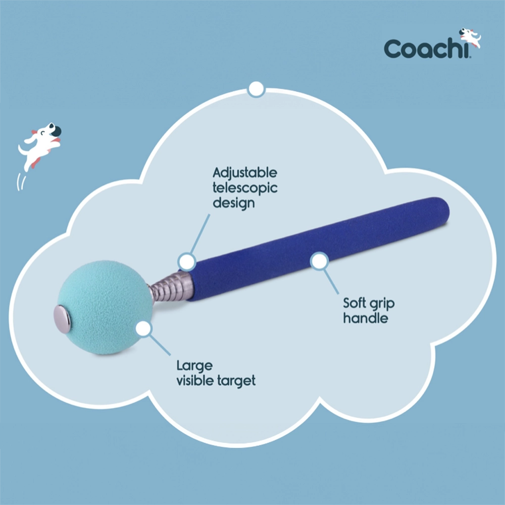 Coachi Company of Animals