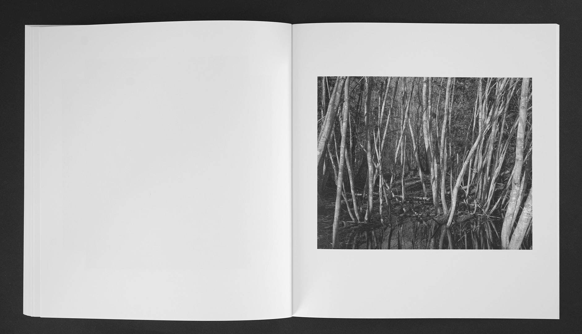 Jan Töve - Blackwater - 12