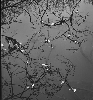 Jan Töve - Blackwater