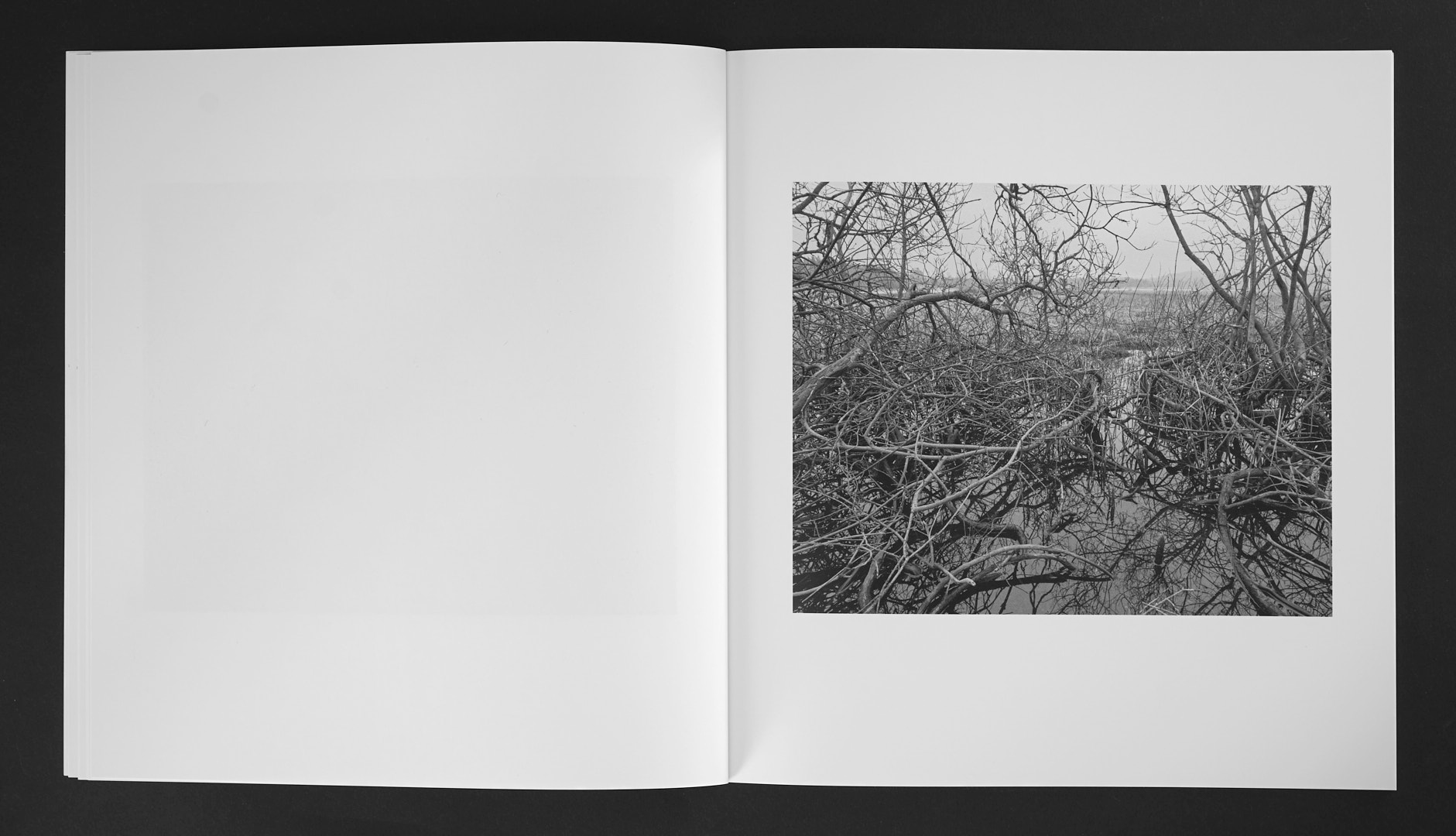Jan Töve - Blackwater - 5