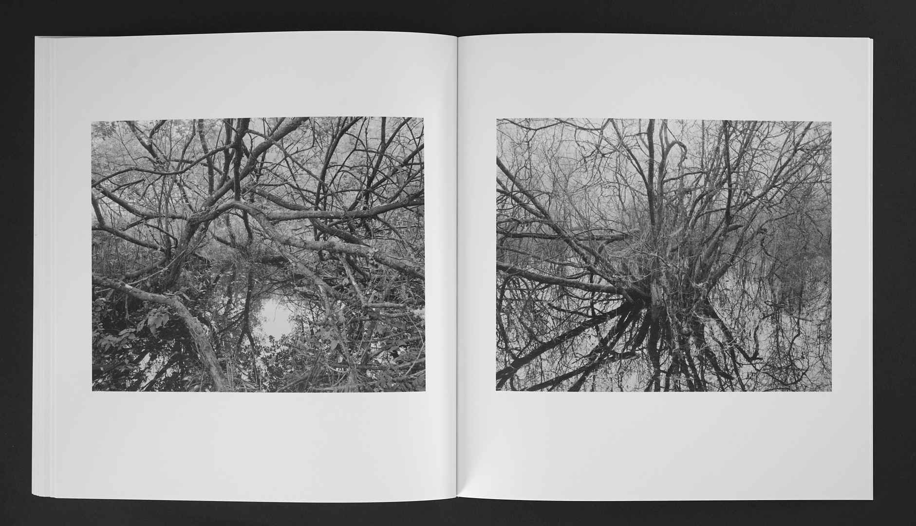 Jan Töve - Blackwater - 13