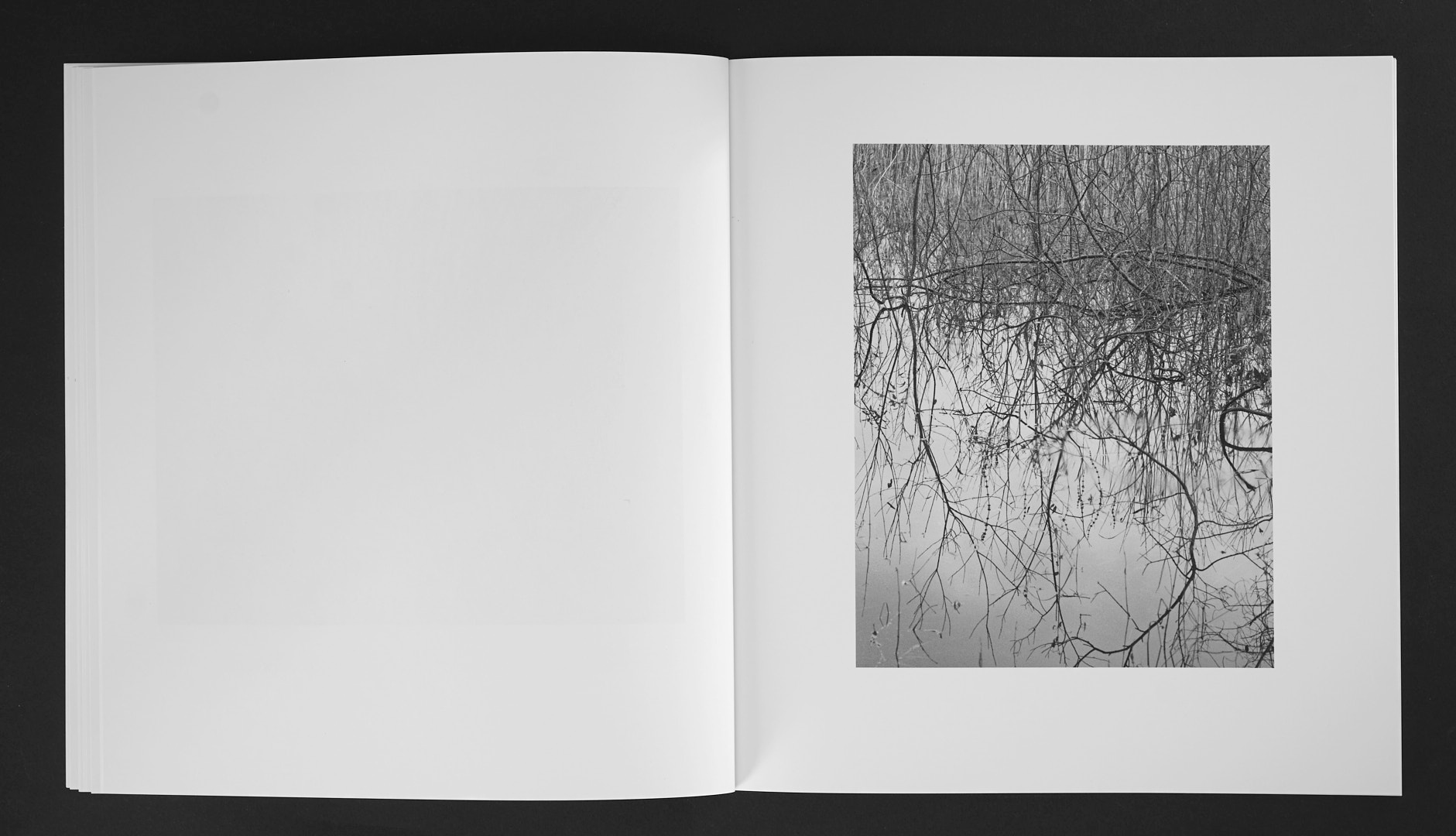 Jan Töve - Blackwater - 8