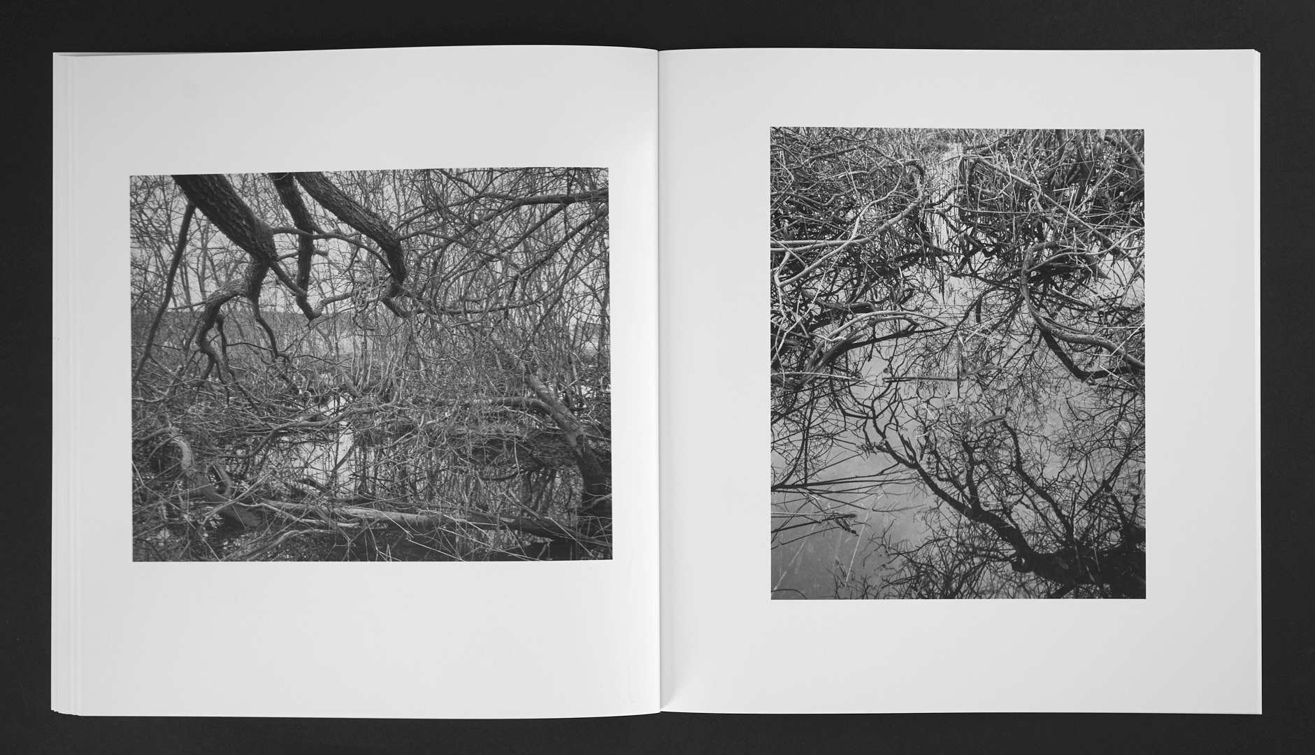 Jan Töve - Blackwater - 11