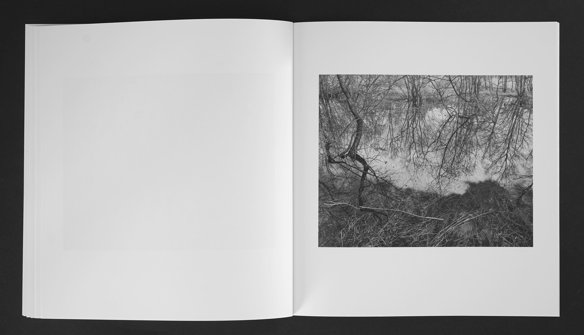 Jan Töve - Blackwater - 10