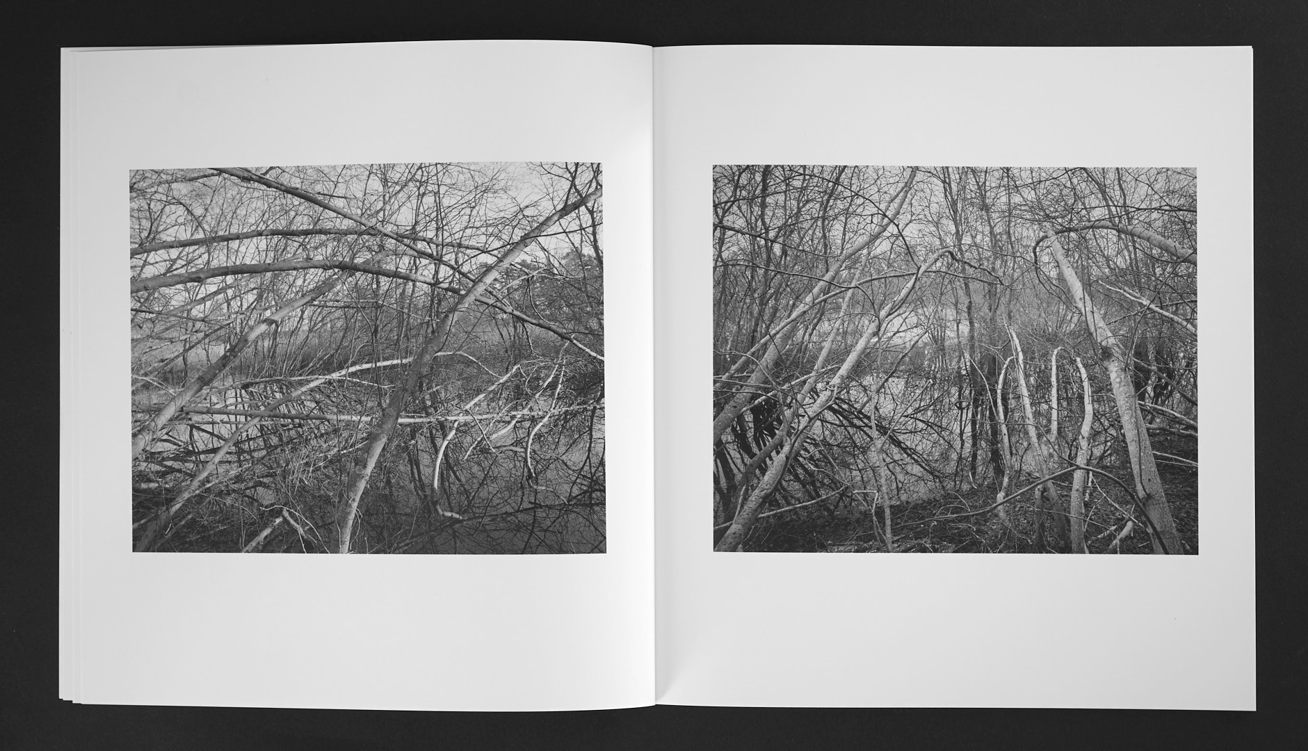 Jan Töve - Blackwater - 4
