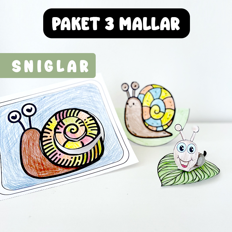 Snigelpaket 3 pyssel