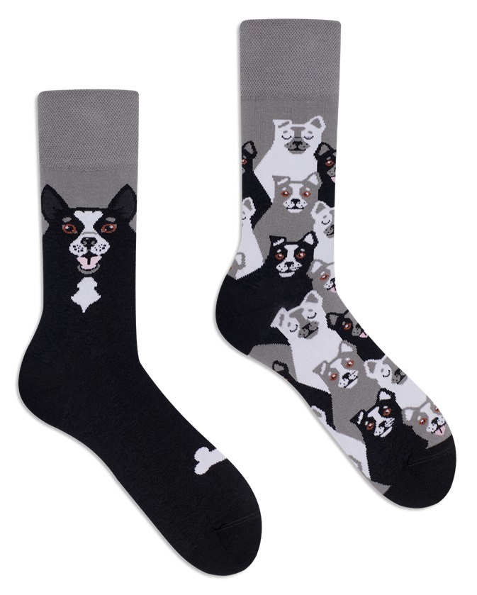 Many Mornings Black Dog