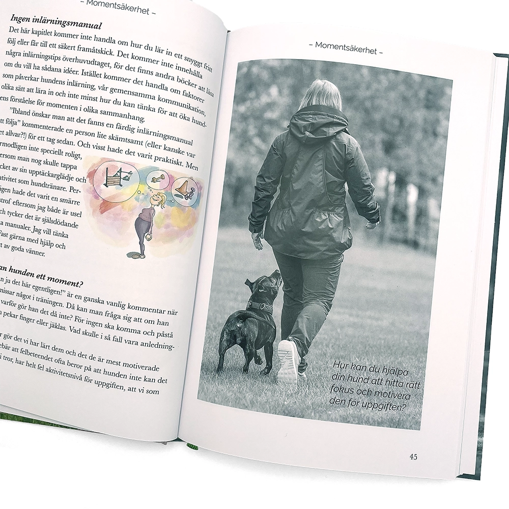 Hundträning bok lydnad rallylydnad och bruks Helene Lindström från plan till plan