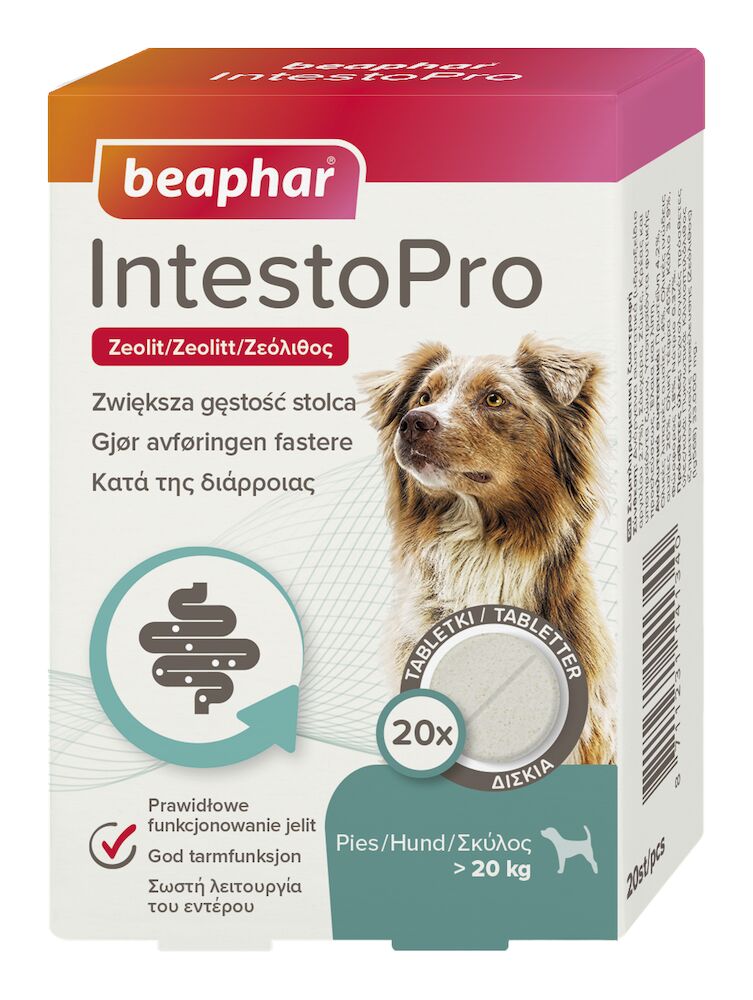 IntestoPro tablett hund >15kg, 20 tabl.