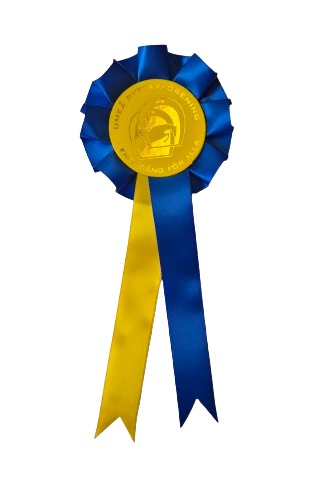1006 - Schleife 1 Rosette 2 Bänder - 5