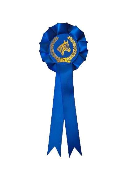 1006 - Schleife 1 Rosette 2 Bänder - 8