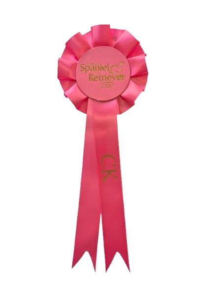 1006 - Schleife 1 Rosette 2 Bänder - 4